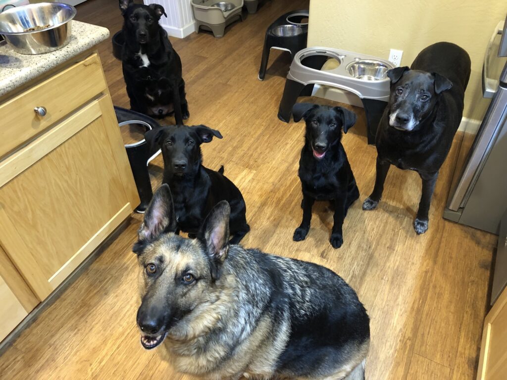 The kids Nancy, Charlie, Murphy, Carl and Sally